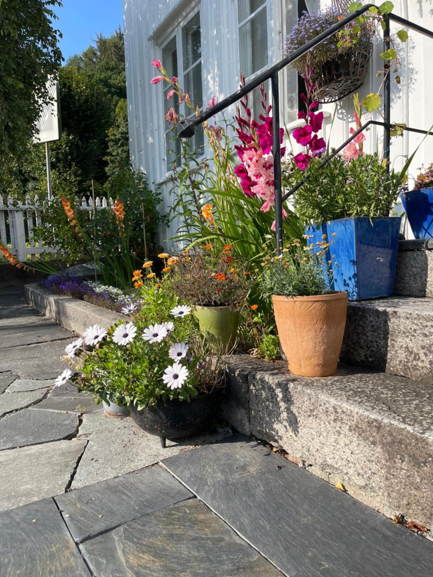Sommerdrom I Sor * Mandal